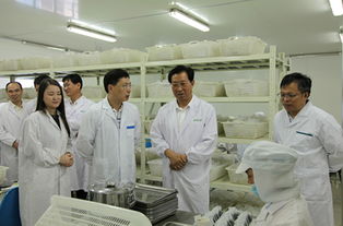 省委副書記王輝忠調研浙茶集團 強化技術服務，助推茶產業高質量發展與為農服務新格局